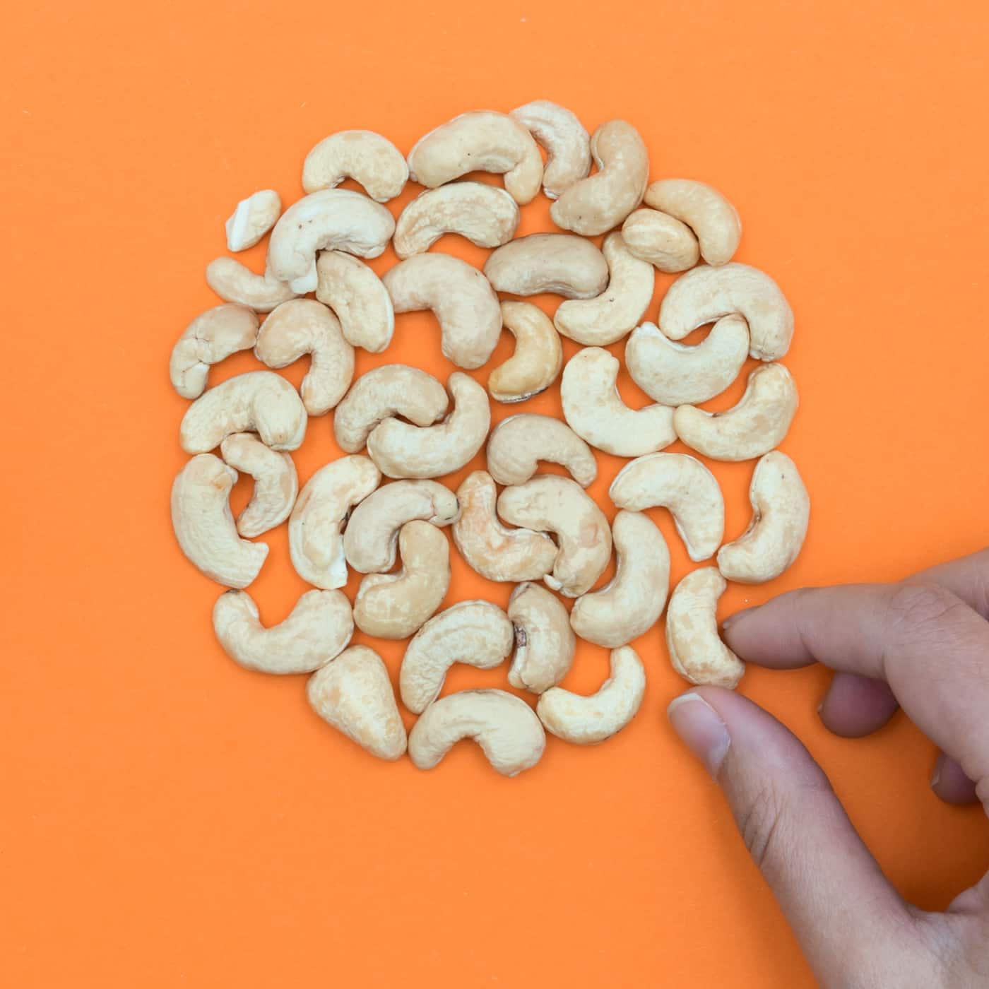 Cashews – Knackig cremige Kerne