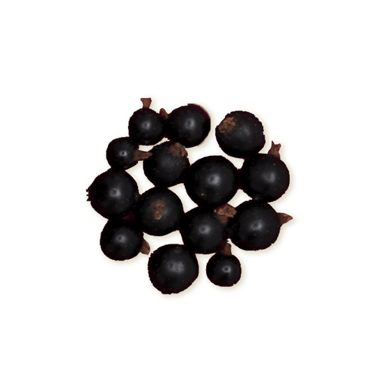 Rawbite solbaer