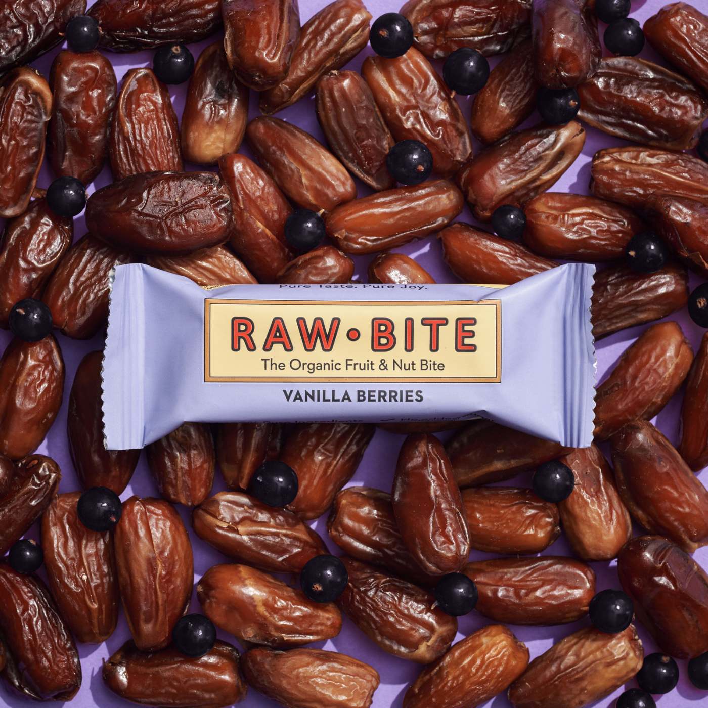 RAWBITE Vanilla Berries Riegel