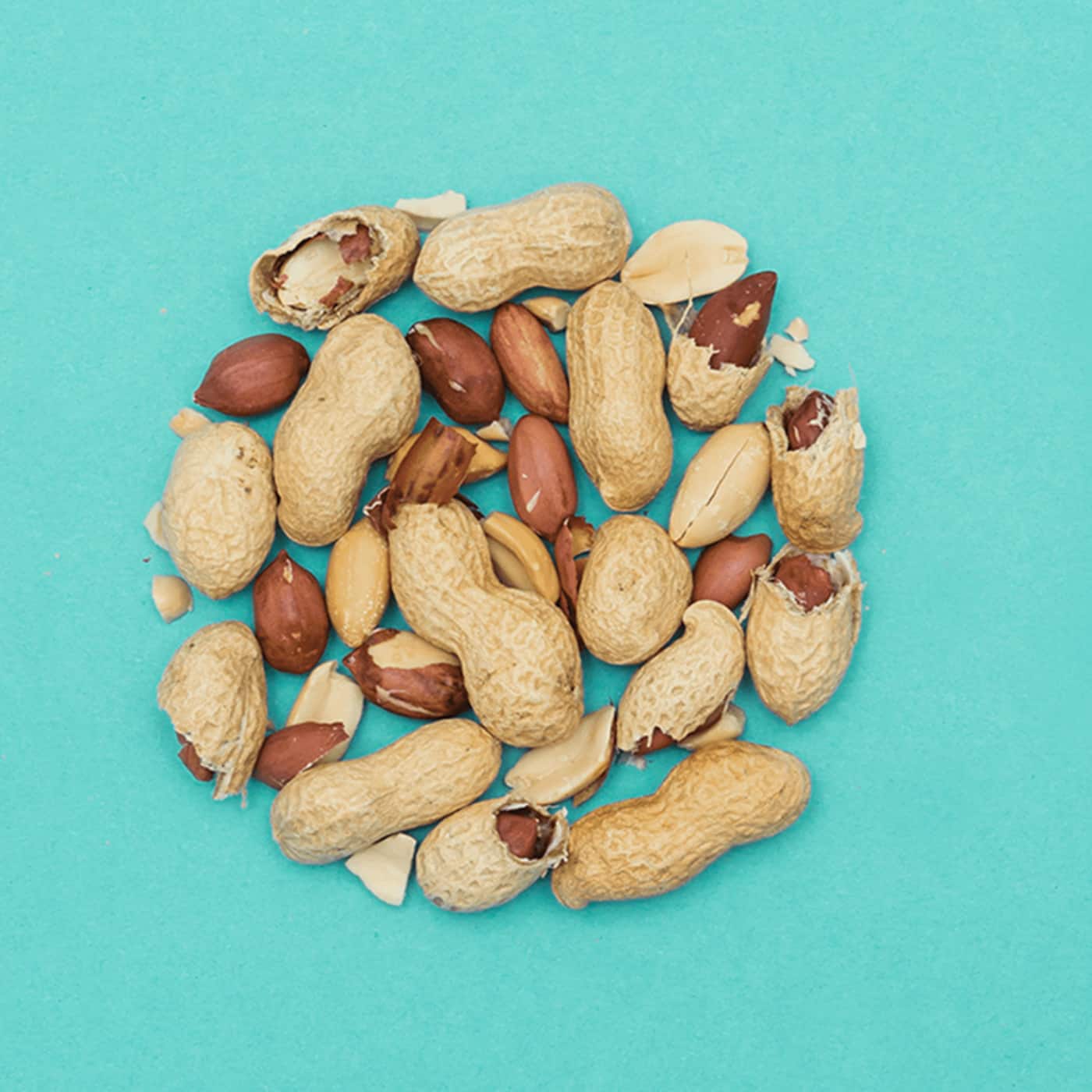 Die Erdnuss – Der Snack, der einfach immer passt