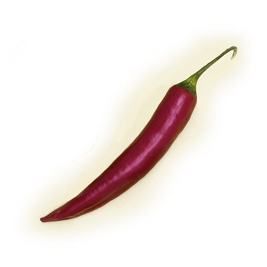 Rawbite chili